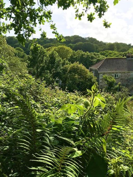 Cosy Retreat In Beautiful Cornwall เฮลสตัน ภายนอก รูปภาพ